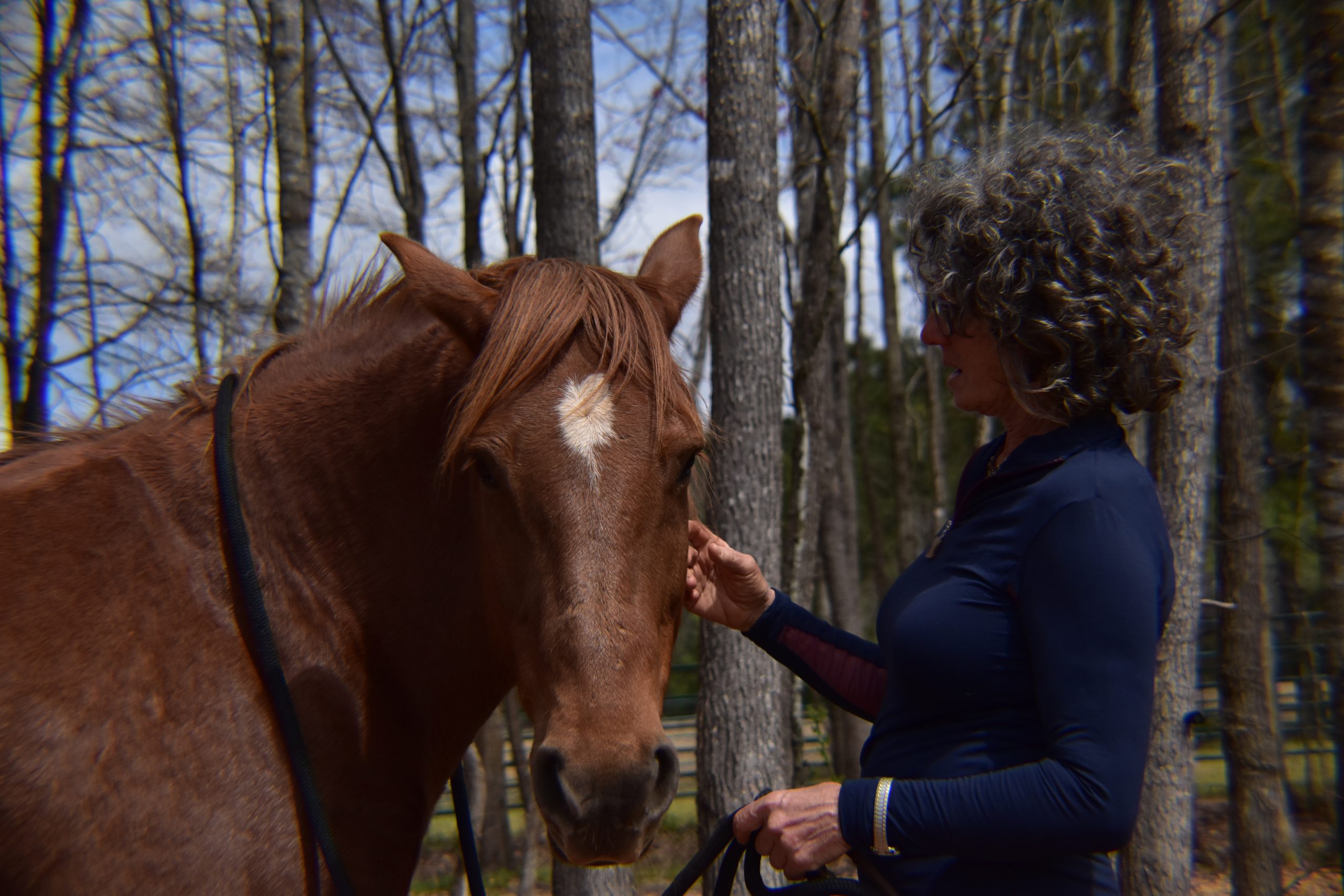 Joan petting a chestnut horse